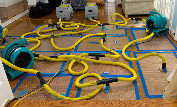 Professional Burst Pipe Water Damage technician working in Cambria, IL
